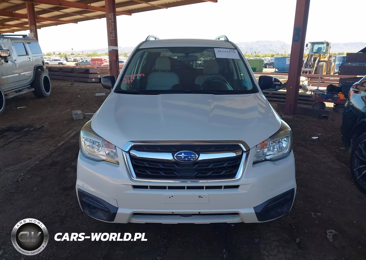 2018 Subaru Forester 2.5I VIN:JF2SJABC1JH604289 - 13