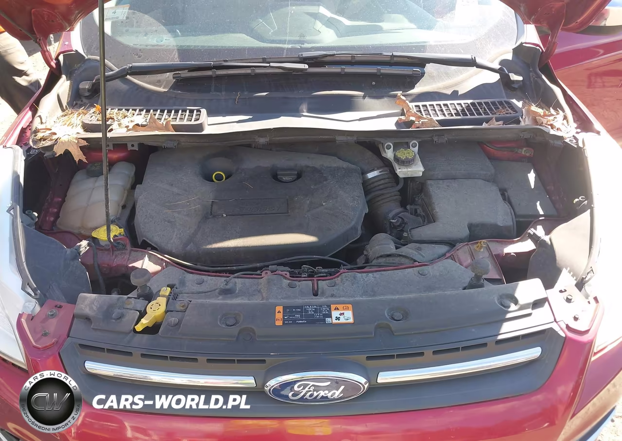 2015 Ford Escape Se VIN:1FMCU9G95FUB53657 - 10