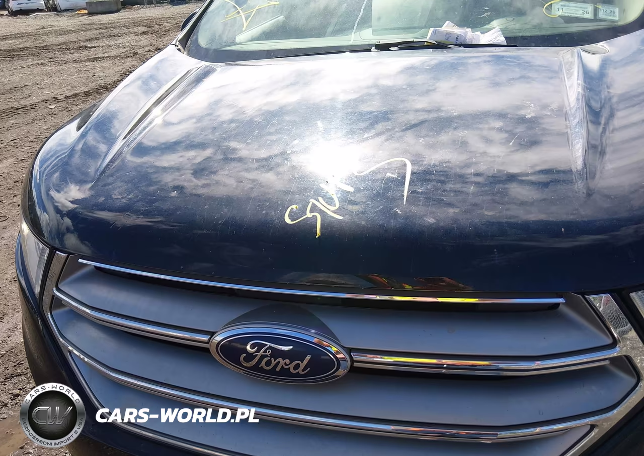 2017 Ford Edge Sel VIN:2FMPK4J98HBB26626 - 10