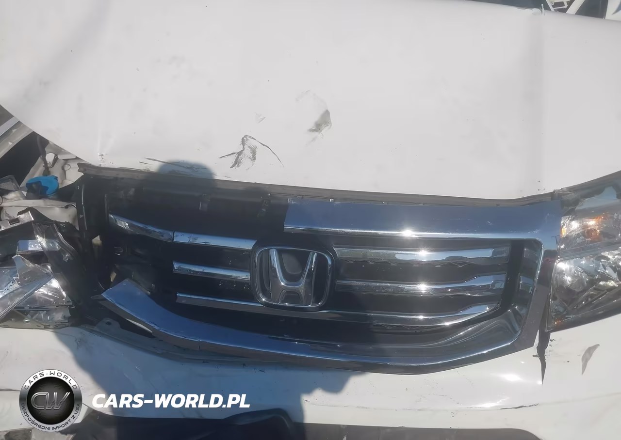 2015 Honda Pilot Se VIN:5FNYF3H3XFB007808 - 10