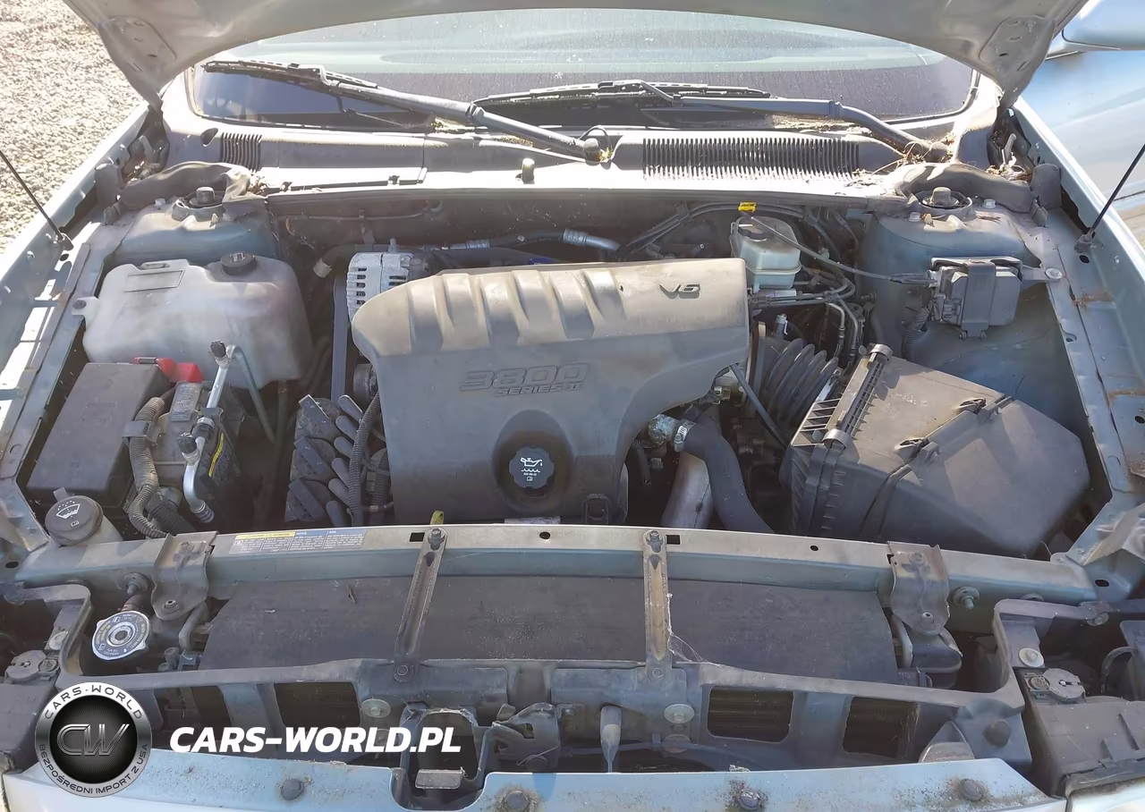 2003 Buick Lesabre Custom VIN:1G4HP52KX34194832 - 10