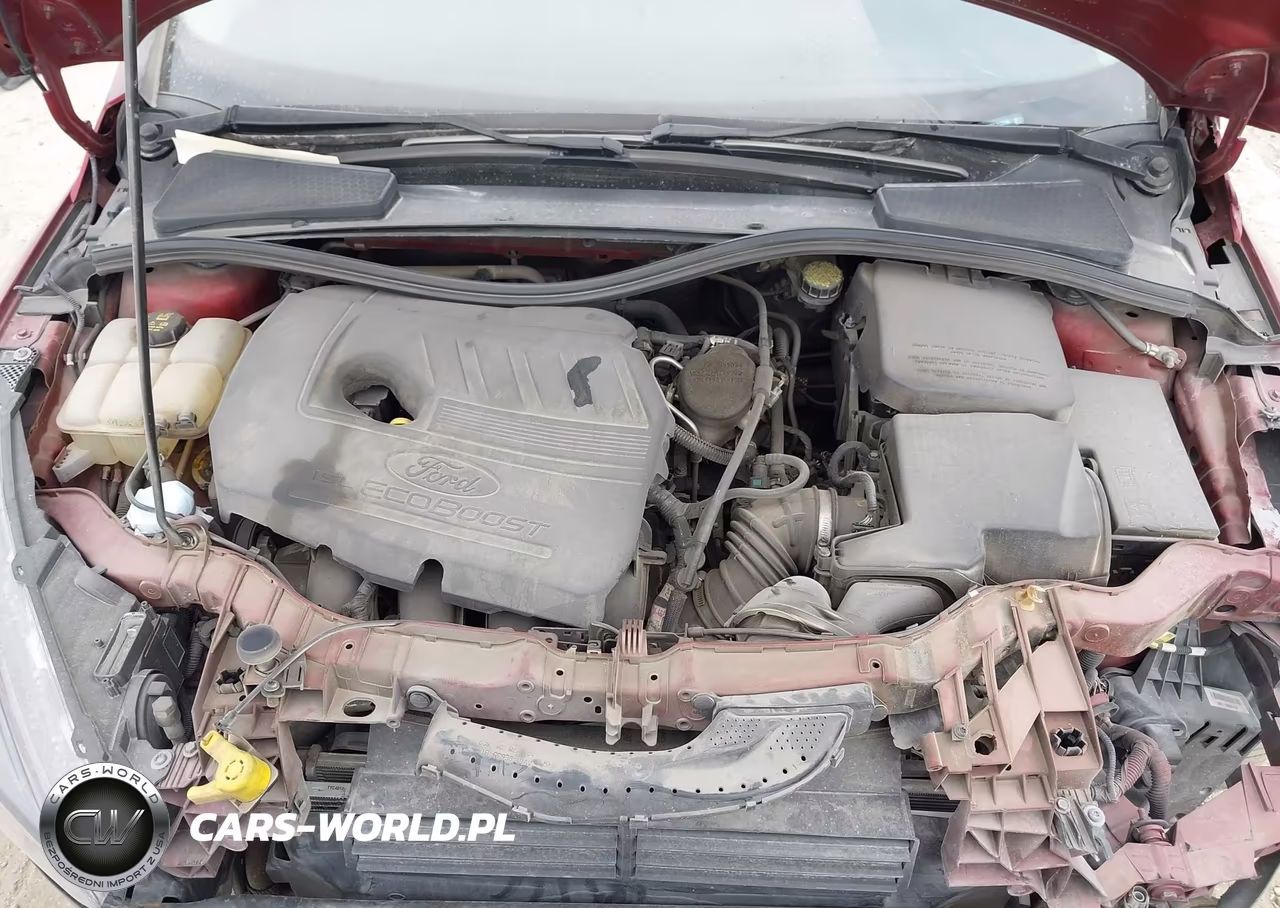 2015 Ford Focus Se VIN:1FADP3K28FL313596 - 10