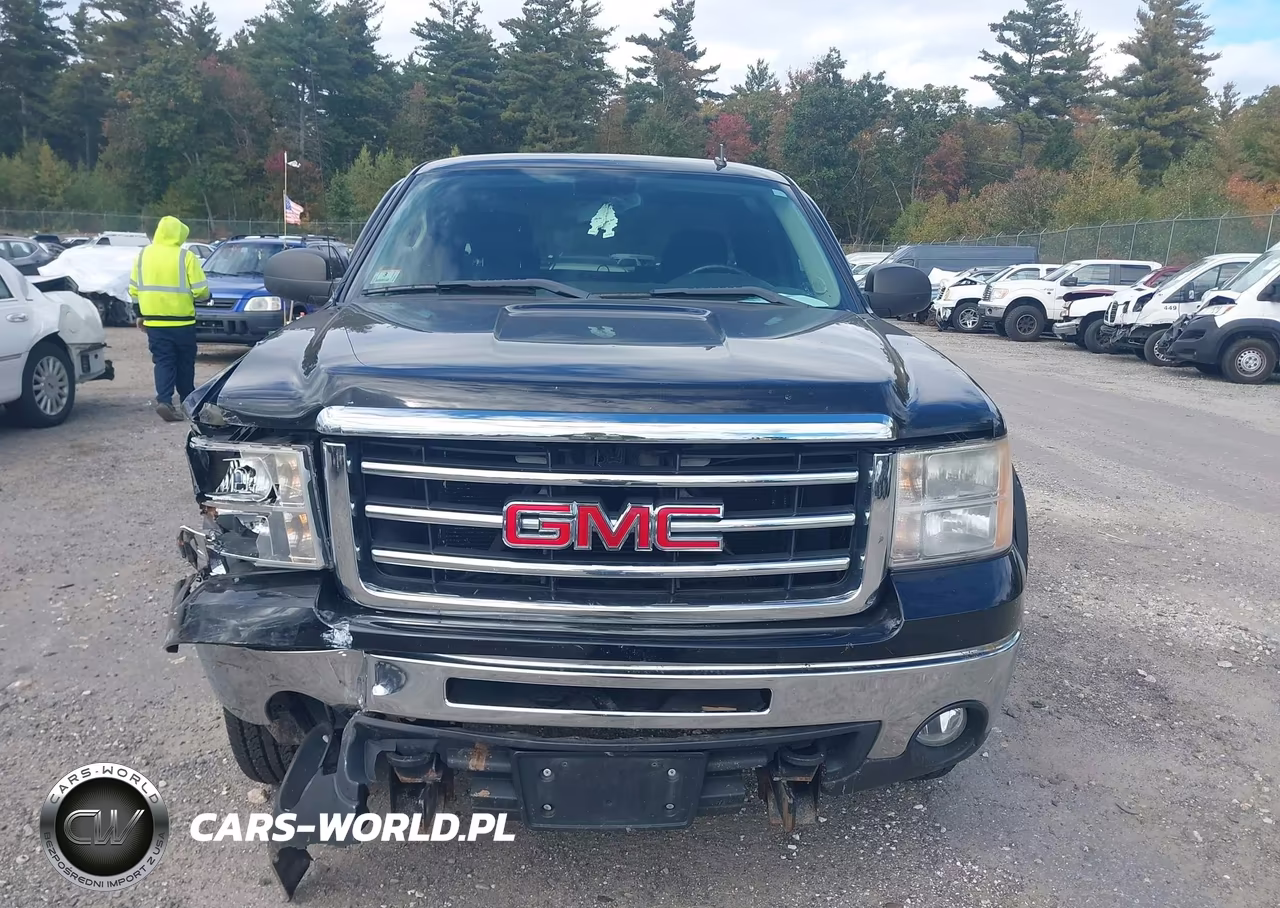 2013 GMC Sierra 1500 Sle VIN:1GTR2VE73DZ256896 - 12