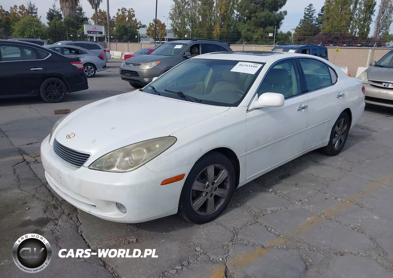 2005 Lexus Es 330 VIN:JTHBA30G655095323 - 2