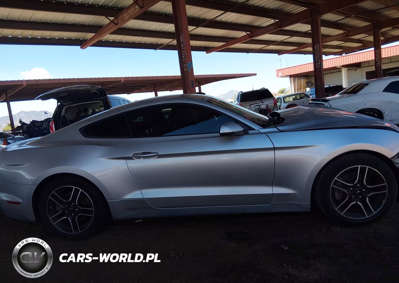 2019 Ford Mustang Ecoboost Premium VIN:1FA6P8TH8K5135292 - 14