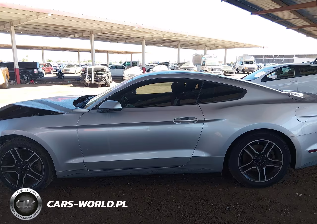 2019 Ford Mustang Ecoboost Premium VIN:1FA6P8TH8K5135292 - 15