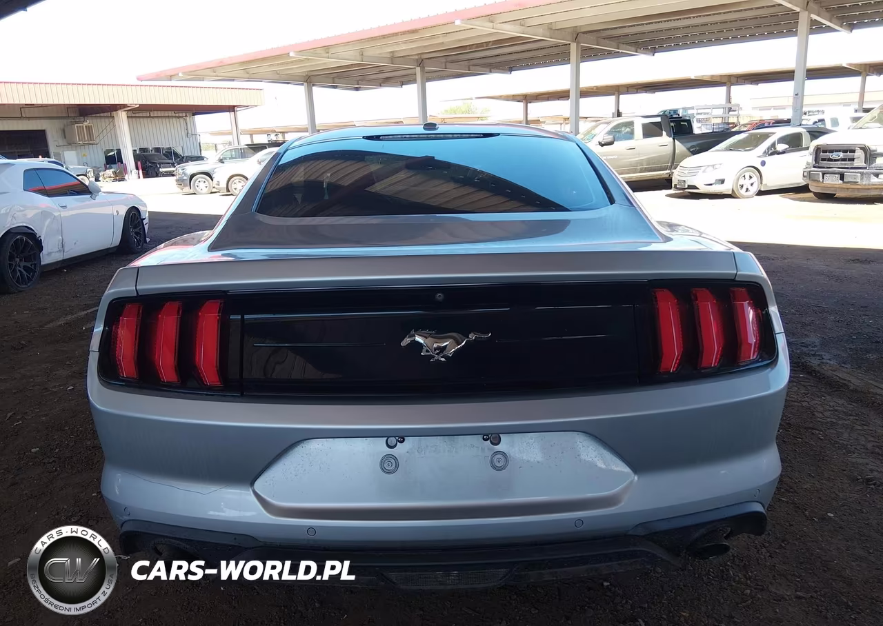2019 Ford Mustang Ecoboost Premium VIN:1FA6P8TH8K5135292 - 17