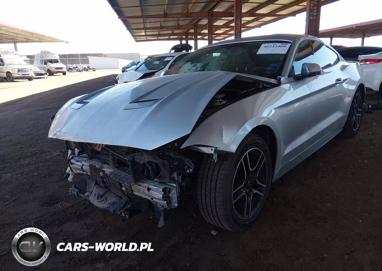 2019 Ford Mustang Ecoboost Premium VIN:1FA6P8TH8K5135292 - 2