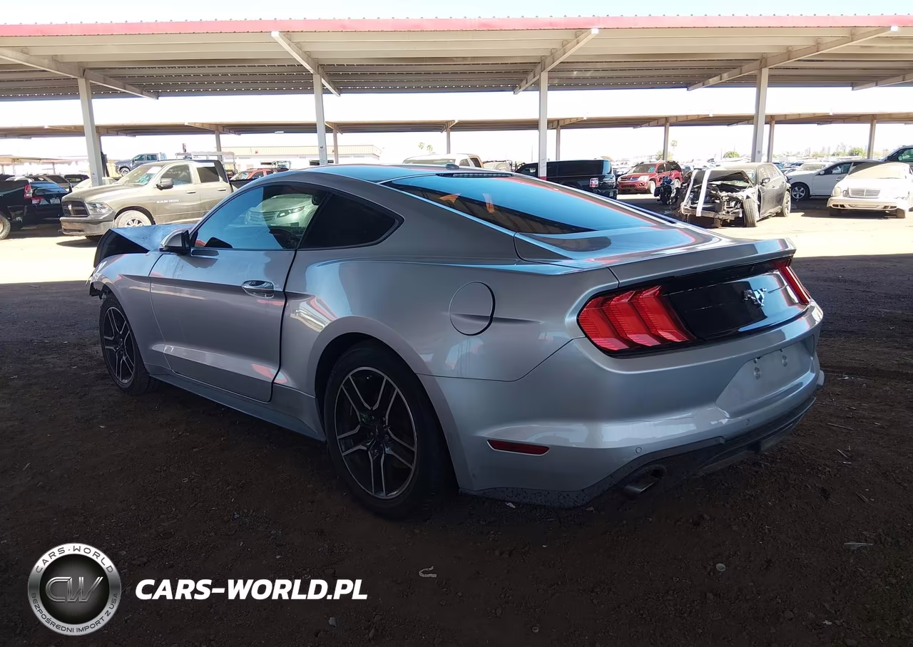 2019 Ford Mustang Ecoboost Premium VIN:1FA6P8TH8K5135292 - 3