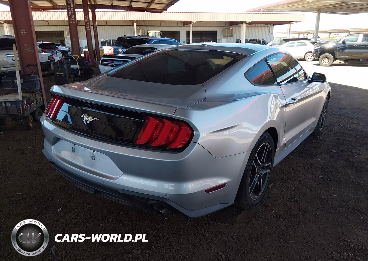 2019 Ford Mustang Ecoboost Premium VIN:1FA6P8TH8K5135292 - 4