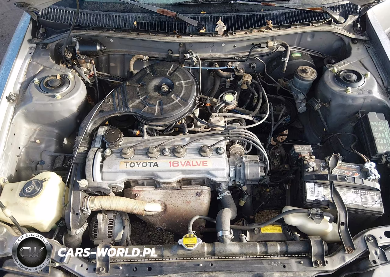 1989 Toyota Corolla Dlx VIN:JT2AE92W0K3235567 - 10