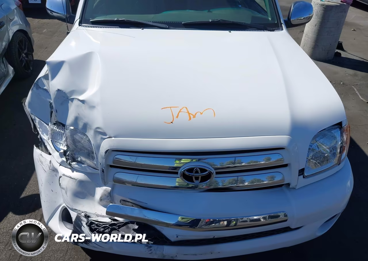 2003 Toyota Tundra Sr5 VIN:5TBRN34163S348232 - 10