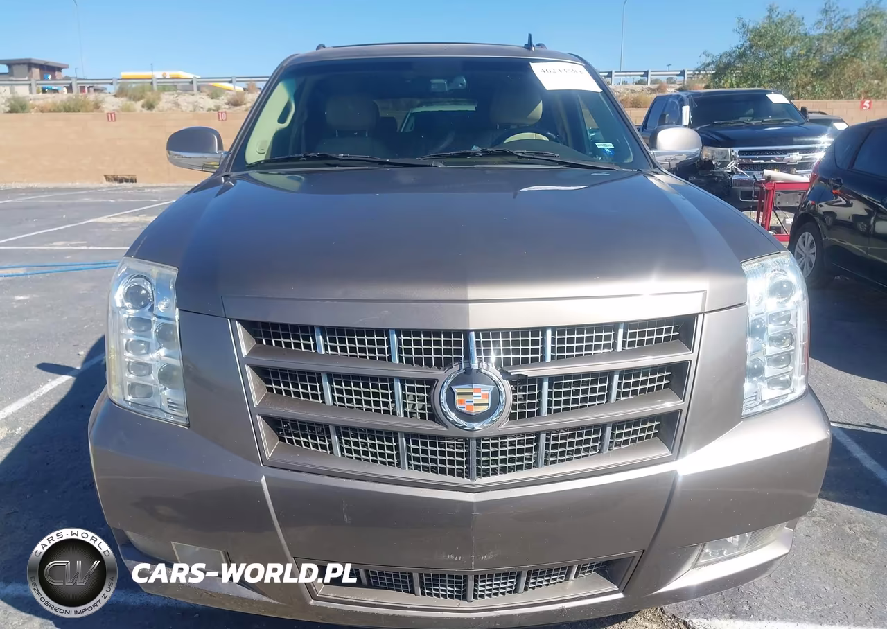 2013 Cadillac Escalade Esv Premium VIN:1GYS4JEF8DR119636 - 12