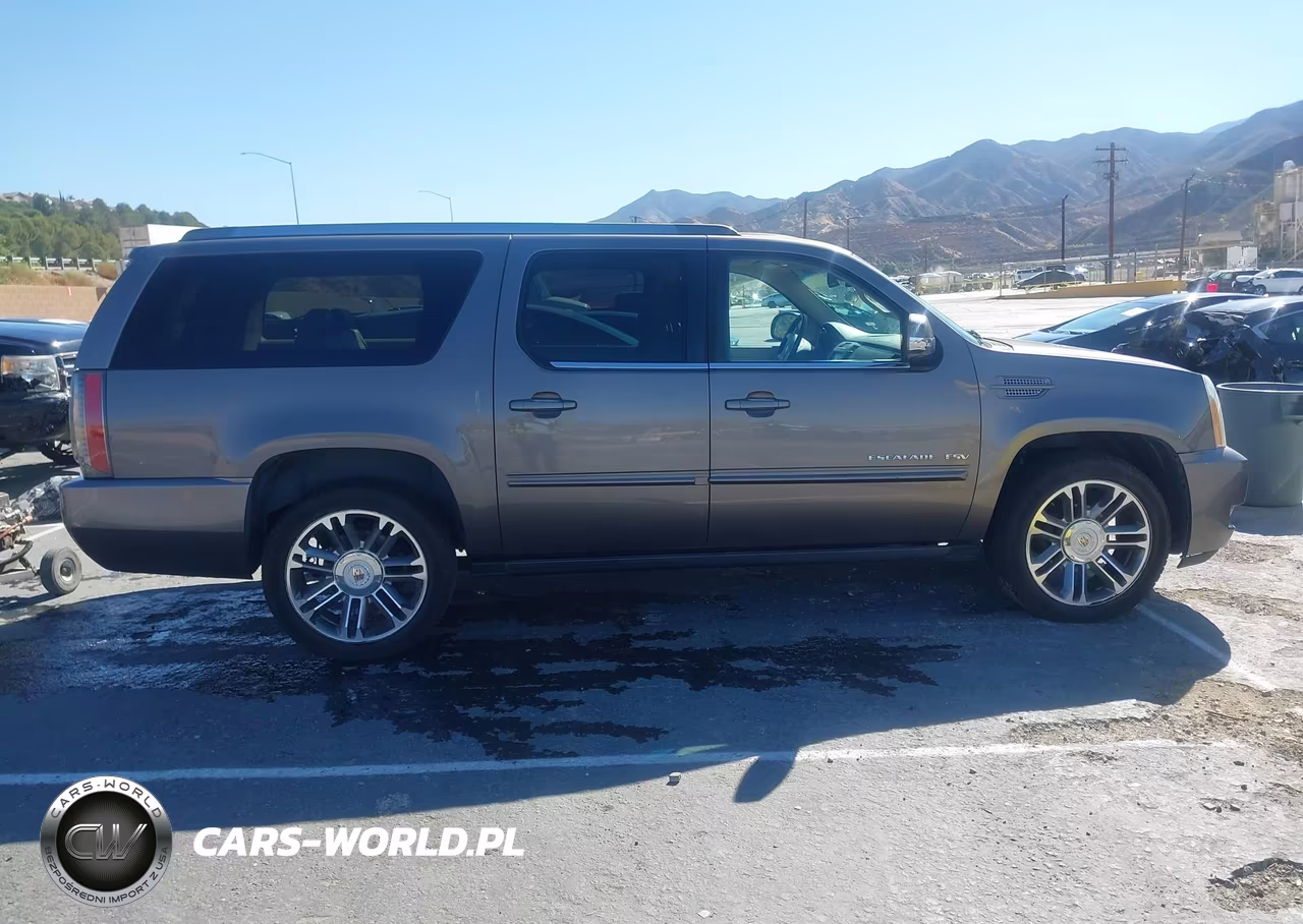 2013 Cadillac Escalade Esv Premium VIN:1GYS4JEF8DR119636 - 13