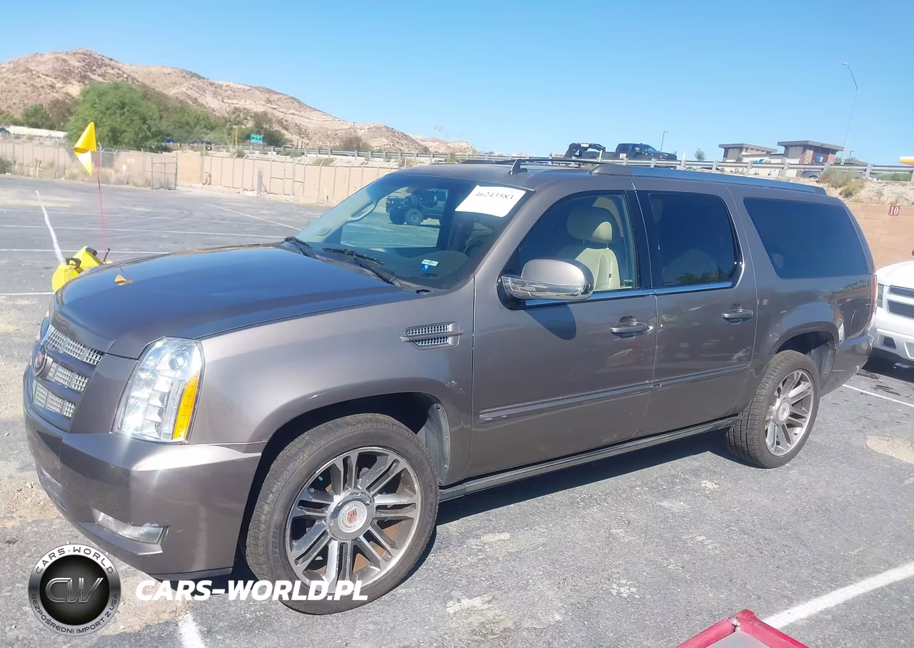 2013 Cadillac Escalade Esv Premium VIN:1GYS4JEF8DR119636 - 14