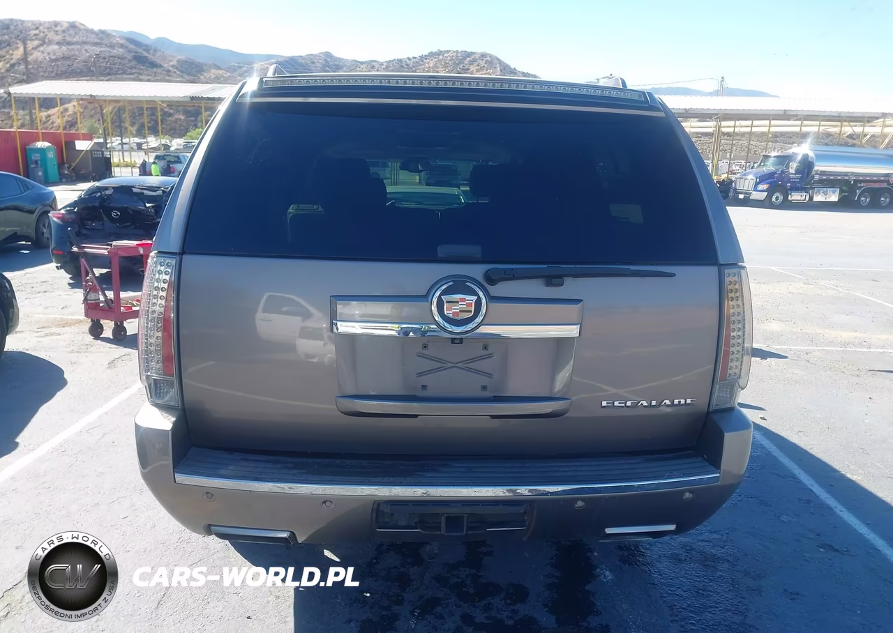 2013 Cadillac Escalade Esv Premium VIN:1GYS4JEF8DR119636 - 16