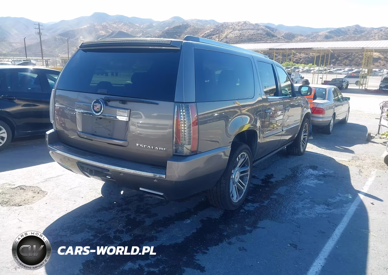 2013 Cadillac Escalade Esv Premium VIN:1GYS4JEF8DR119636 - 4