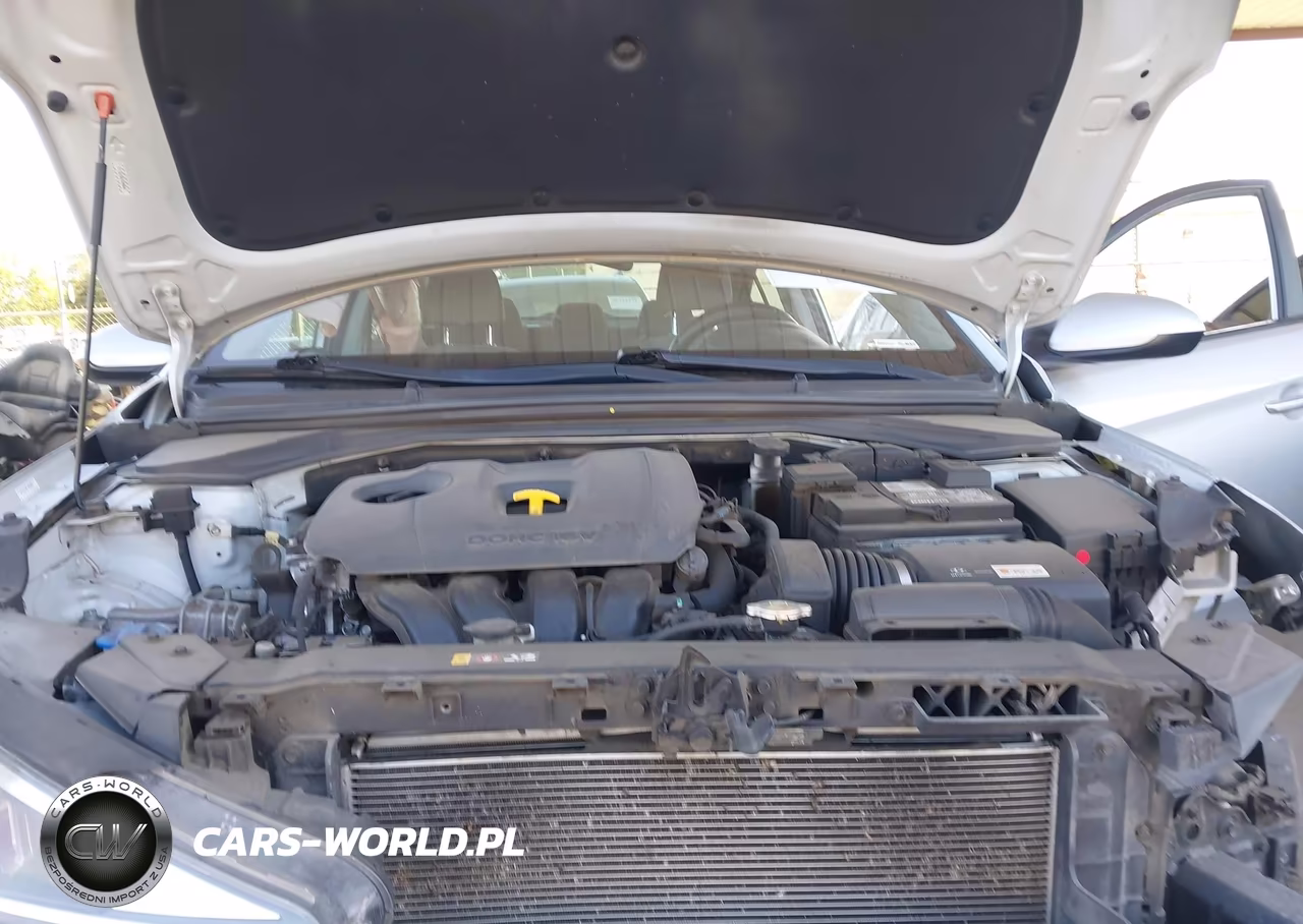 2019 Hyundai Elantra Sel VIN:KMHD84LF6KU731119 - 10