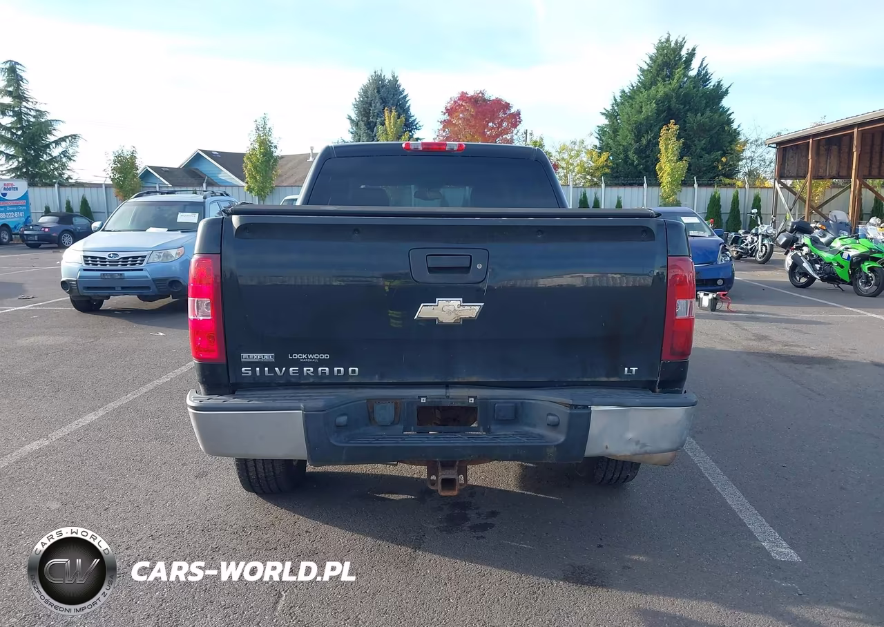 2009 Chevrolet Silverado 1500 Lt VIN:3GCEK23339G250648 - 17