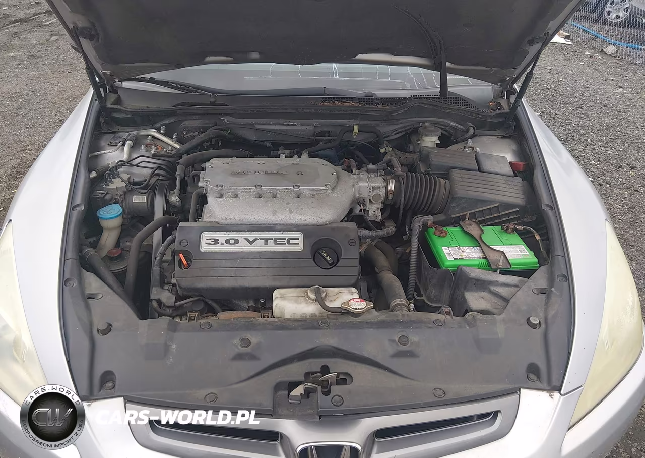 2004 Honda Accord 3.0 Ex VIN:1HGCM66804A003256 - 10