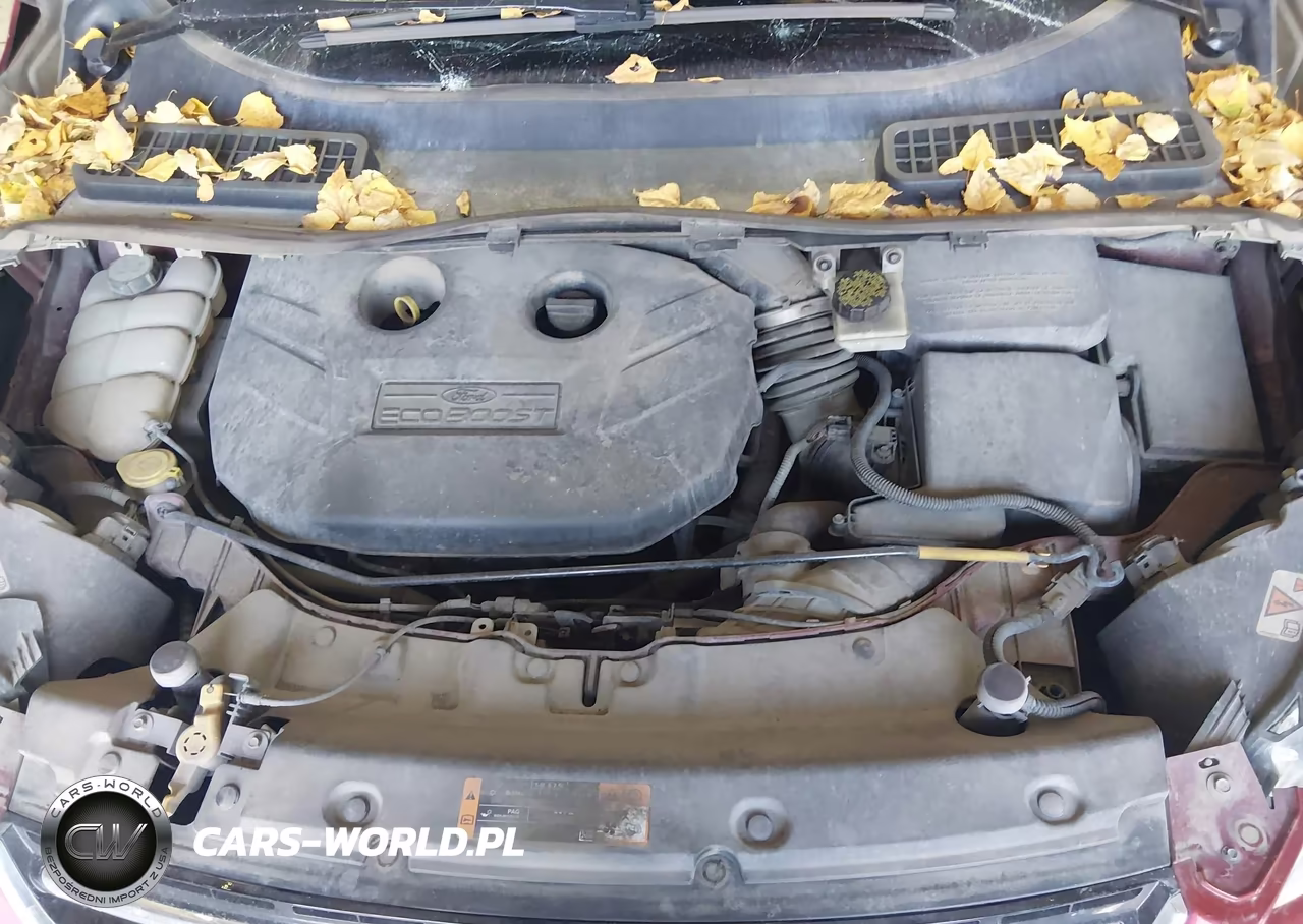 2013 Ford Escape Titanium VIN:1FMCU9J98DUD92688 - 10