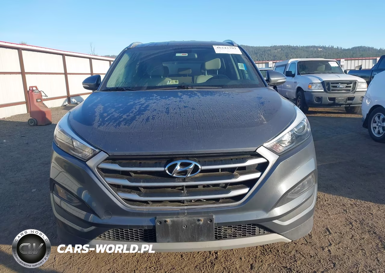 2017 Hyundai Tucson Sport VIN:KM8J3CA25HU502466 - 12