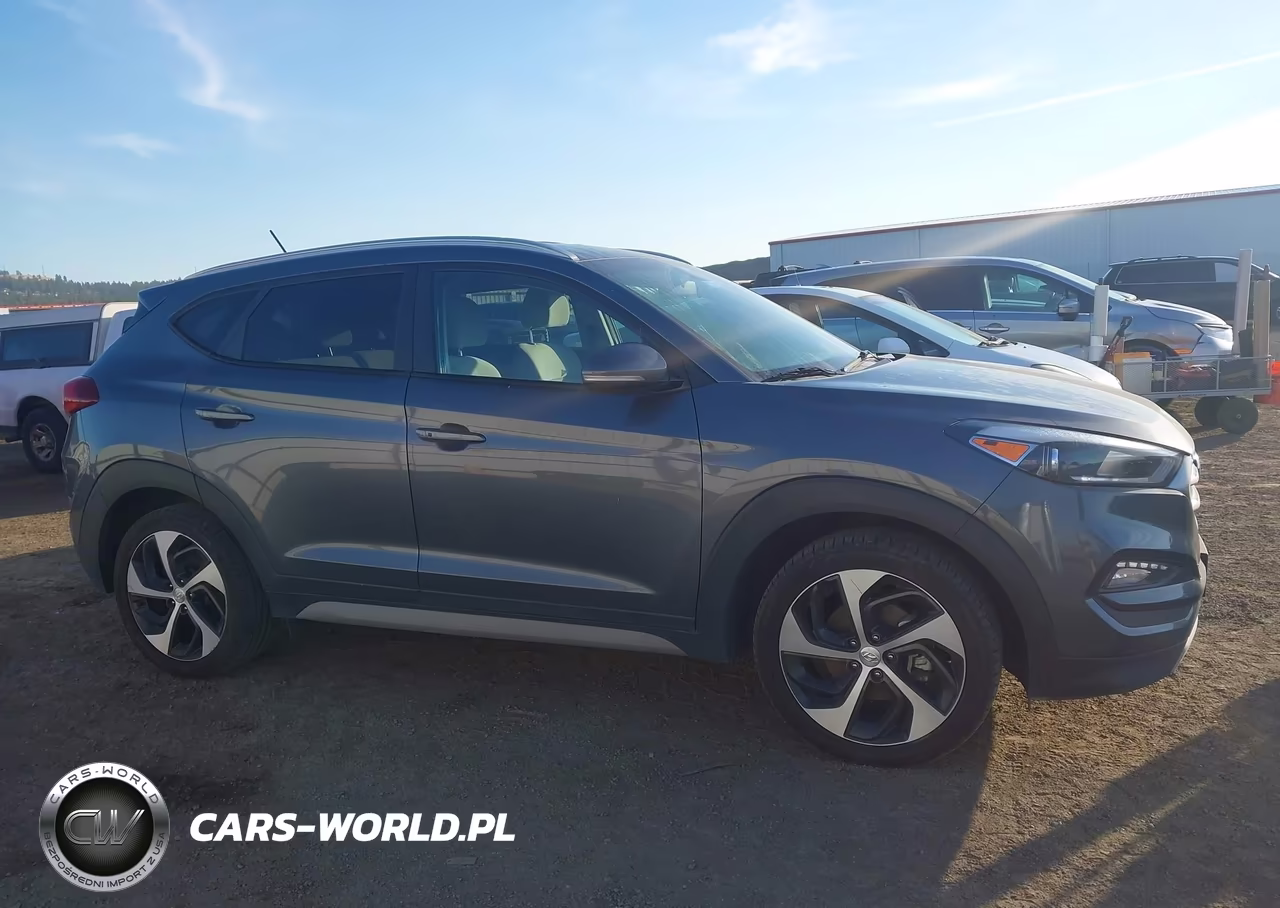 2017 Hyundai Tucson Sport VIN:KM8J3CA25HU502466 - 13