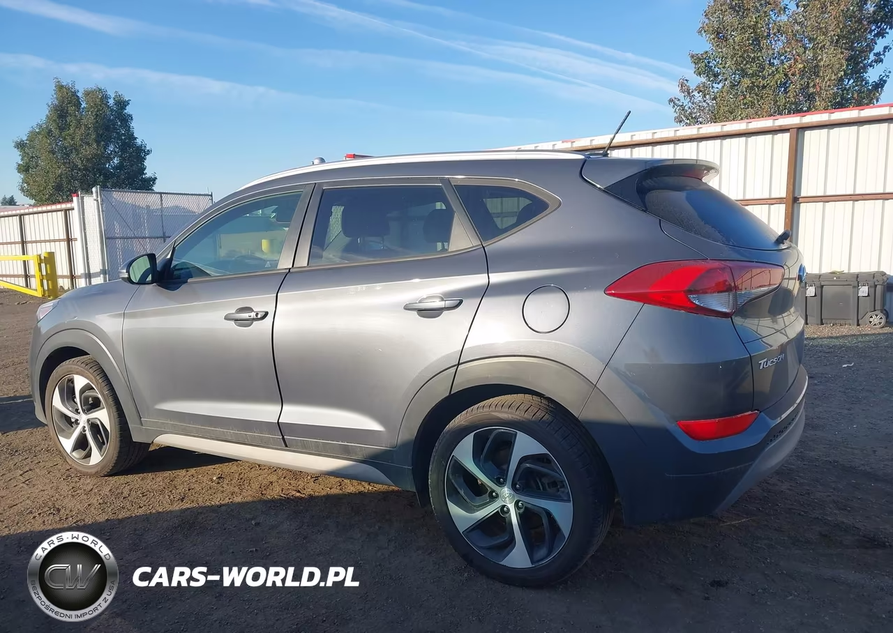2017 Hyundai Tucson Sport VIN:KM8J3CA25HU502466 - 14