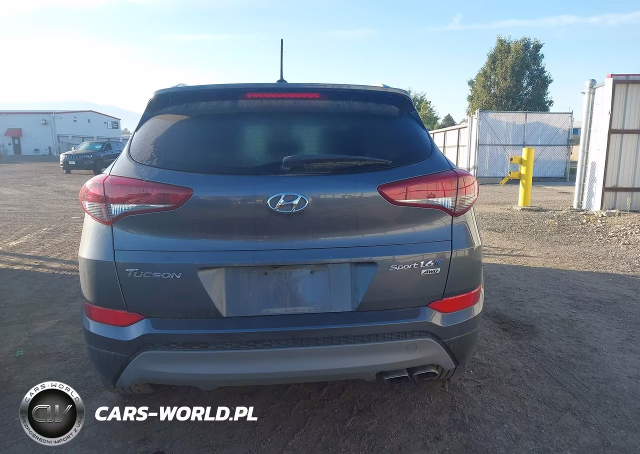 2017 Hyundai Tucson Sport VIN:KM8J3CA25HU502466 - 16