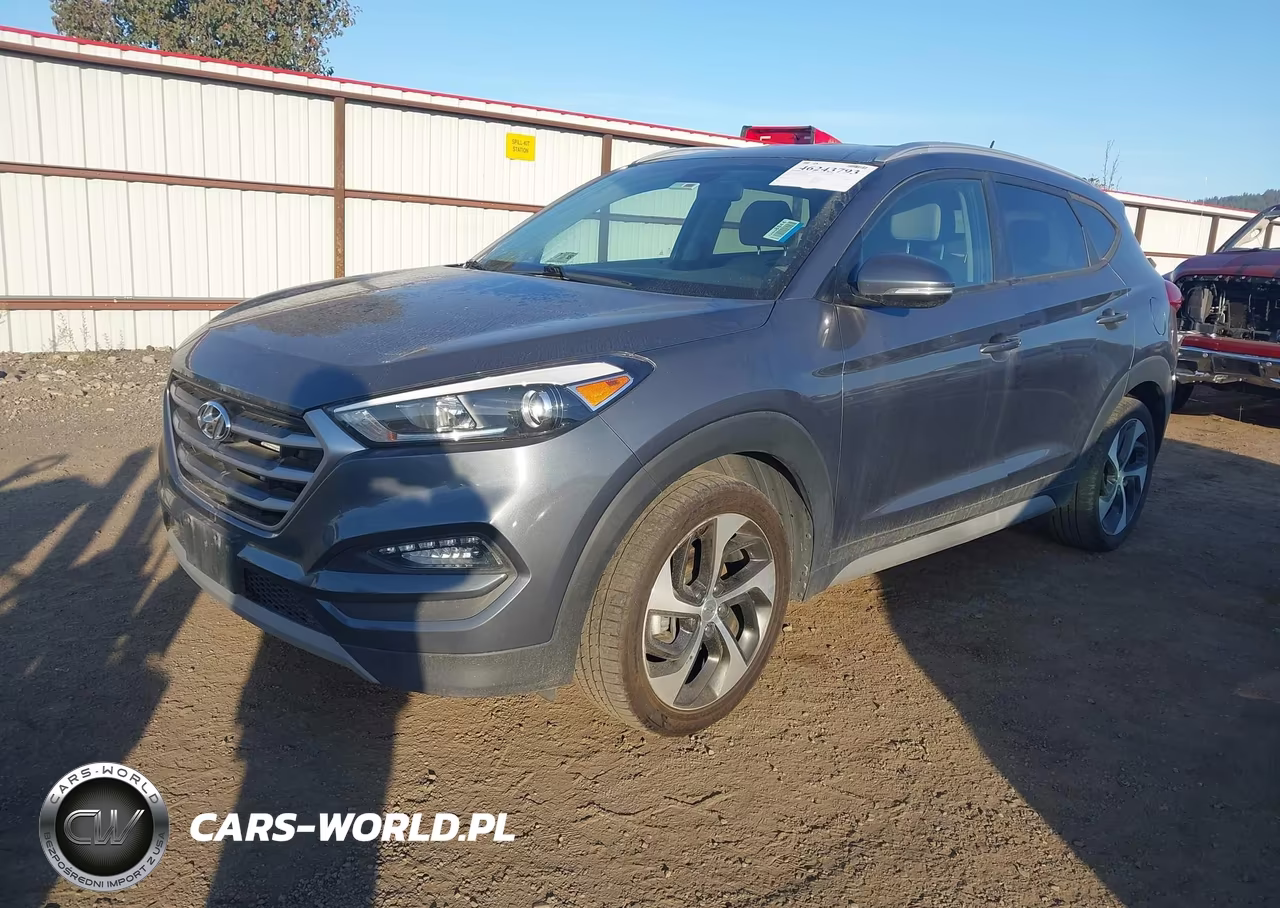 2017 Hyundai Tucson Sport VIN:KM8J3CA25HU502466 - 2
