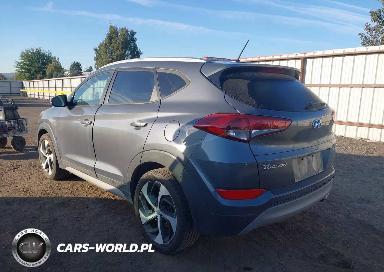 2017 Hyundai Tucson Sport VIN:KM8J3CA25HU502466 - 3