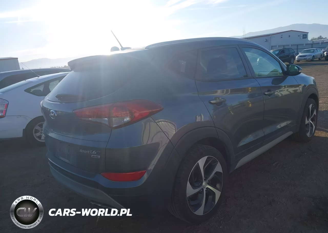 2017 Hyundai Tucson Sport VIN:KM8J3CA25HU502466 - 4