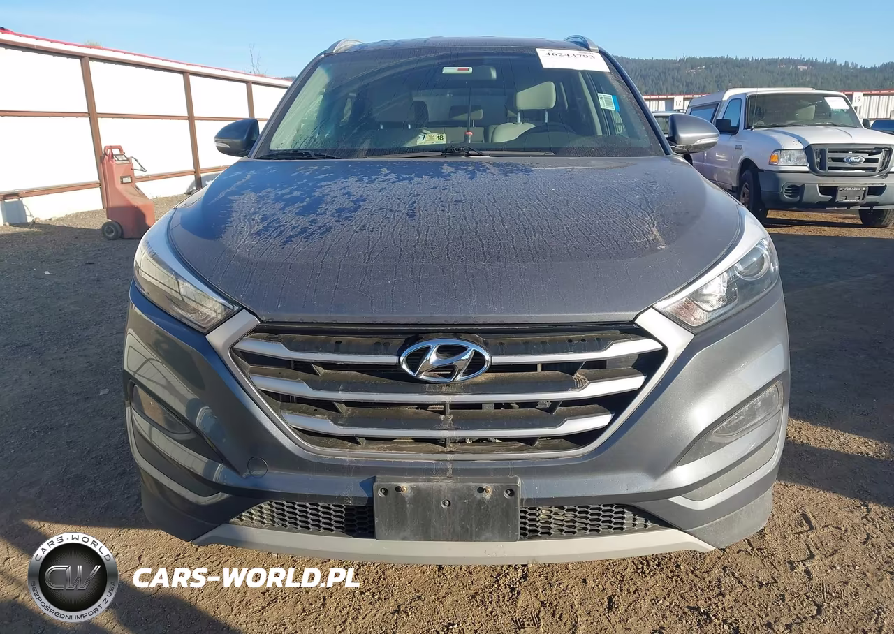 2017 Hyundai Tucson Sport VIN:KM8J3CA25HU502466 - 6