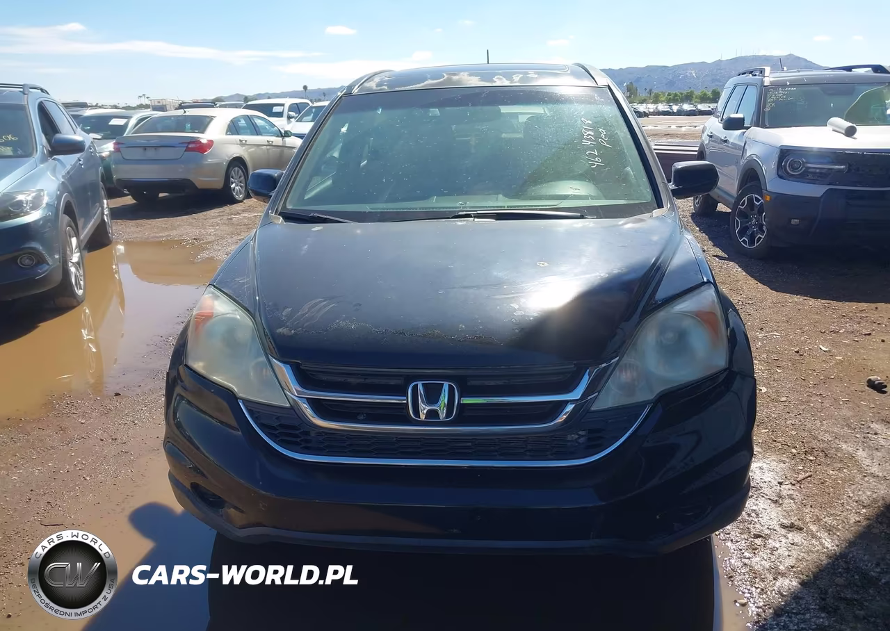 2010 Honda Cr-V Ex-L VIN:5J6RE4H75AL005318 - 6