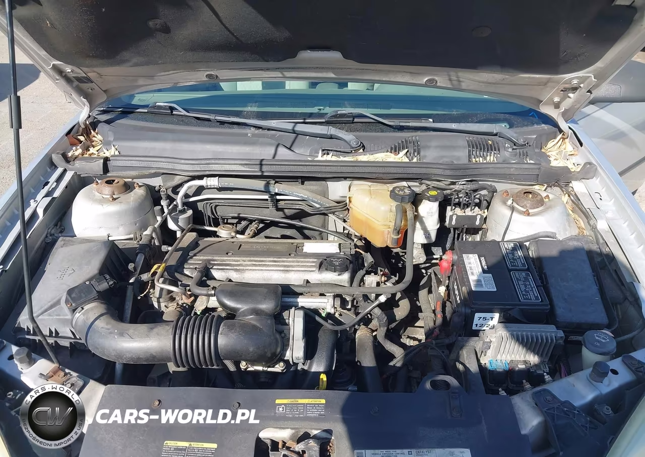 2005 Chevrolet Malibu VIN:1G1ZS52F65F103145 - 10