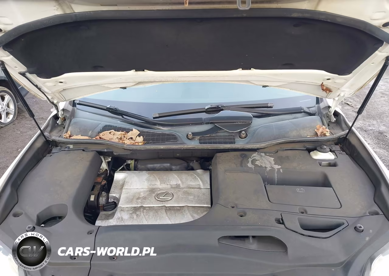2010 Lexus Rx 350 VIN:2T2BK1BA2AC063229 - 10