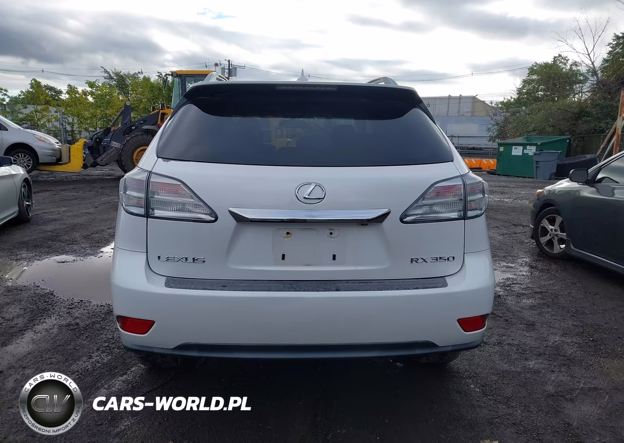 2010 Lexus Rx 350 VIN:2T2BK1BA2AC063229 - 16