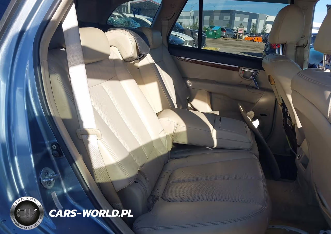 2009 Hyundai Santa Fe Limited VIN:5NMSH13E09H328725 - 8