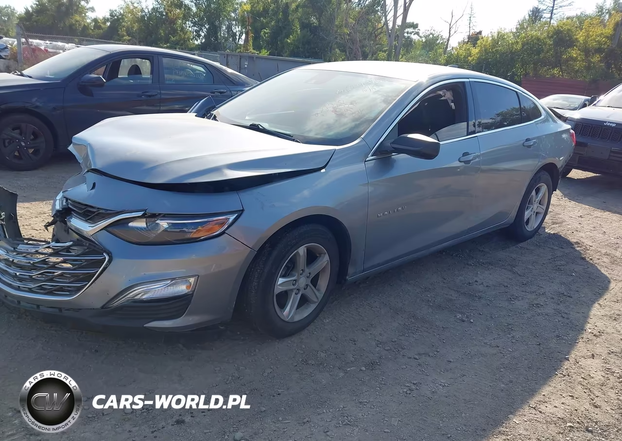2023 Chevrolet Malibu Fwd 1Fl VIN:1G1ZC5ST0PF149172 - 2
