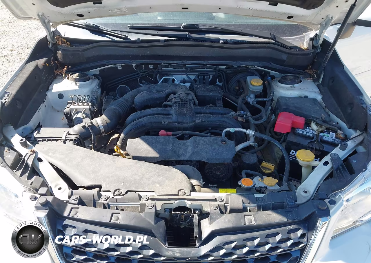 2016 Subaru Forester 2.5I Premium VIN:JF2SJADC2GH427046 - 10