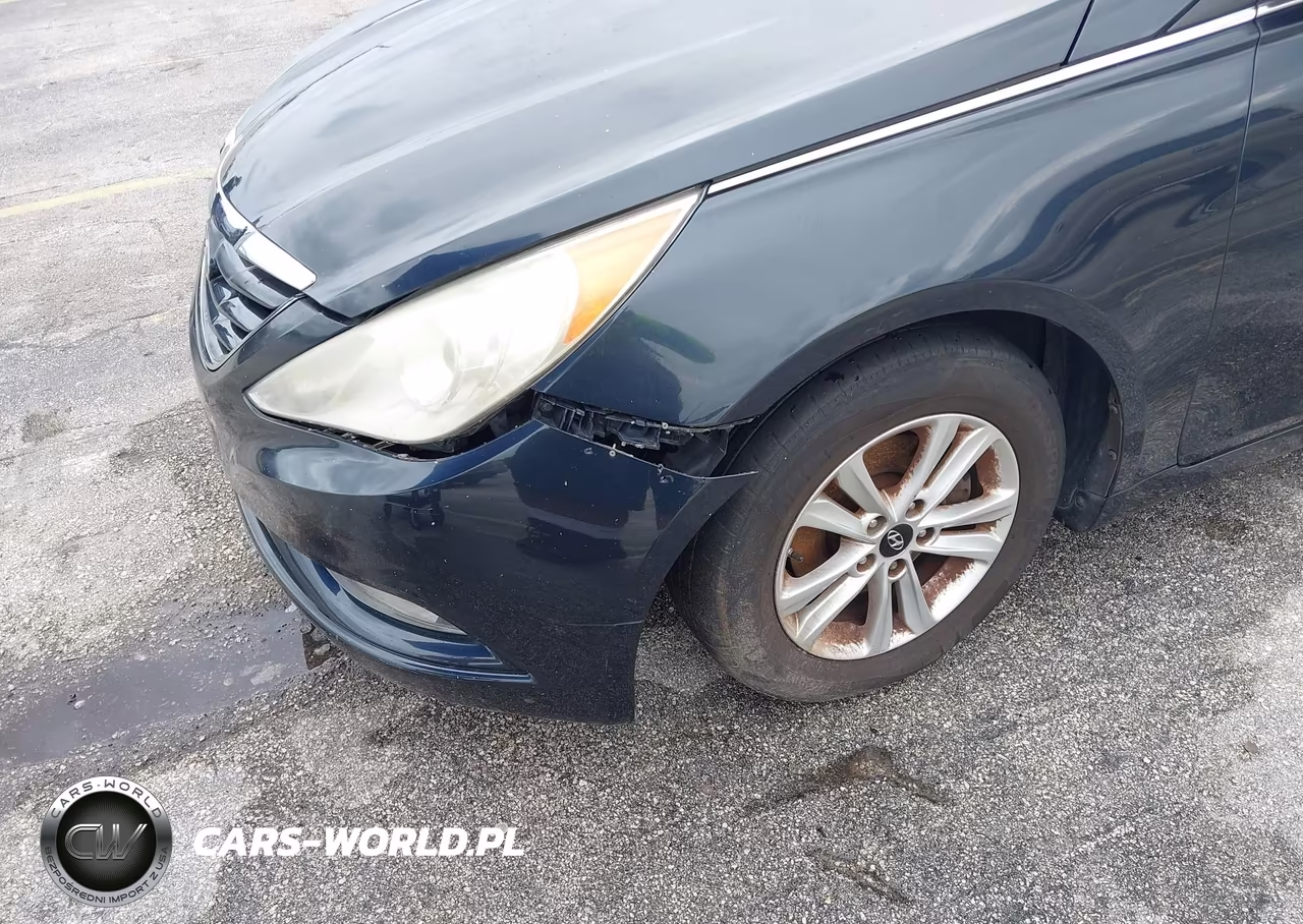 2013 Hyundai Sonata Gls VIN:5NPEB4AC2DH709263 - 13