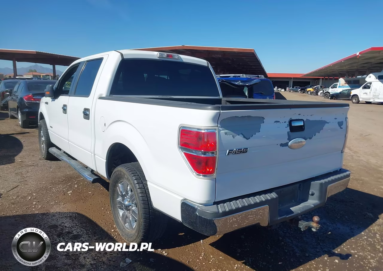 2011 Ford F-150 Xlt VIN:1FTFW1CT7BKE00195 - 3