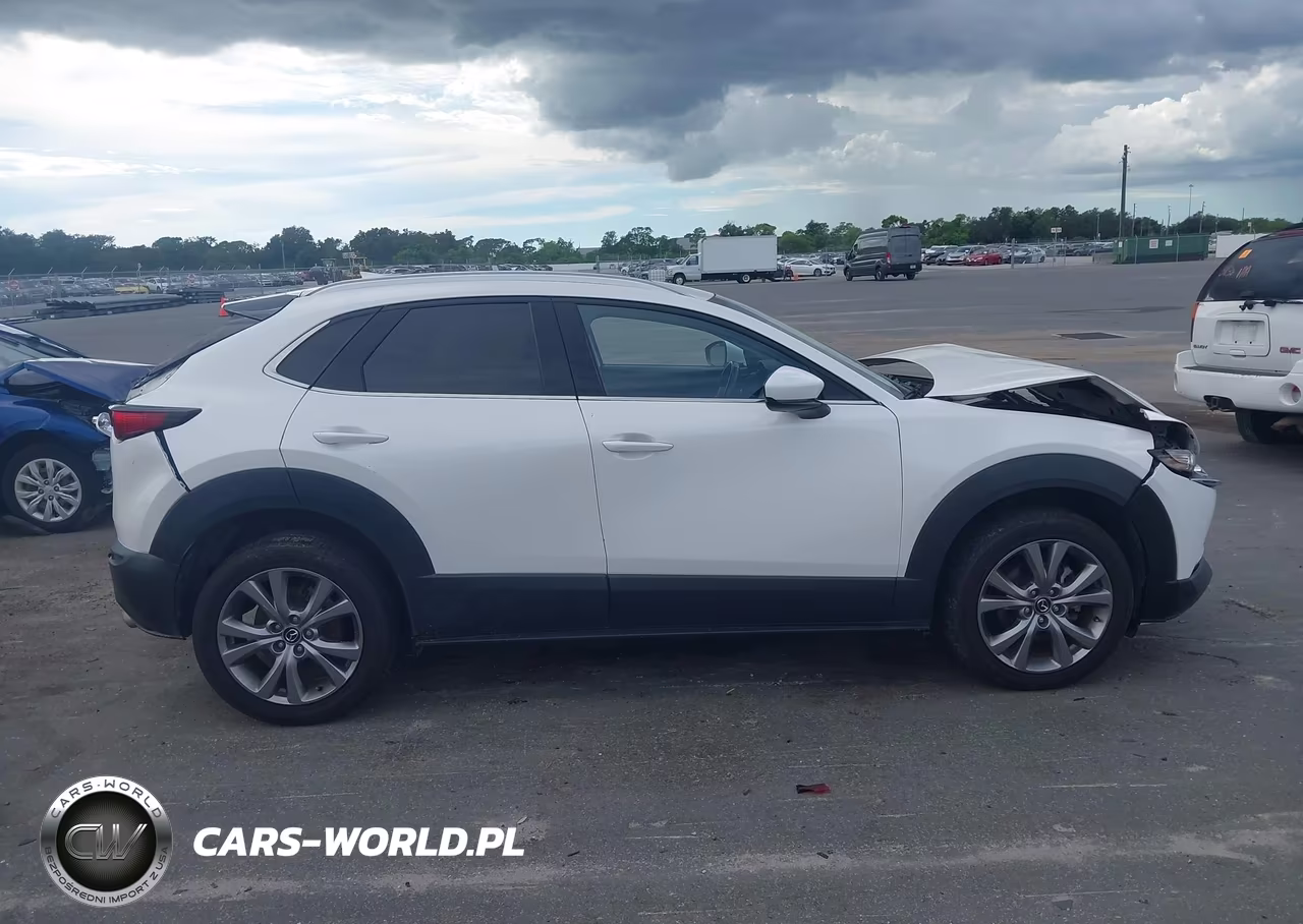 2020 Mazda Cx-30 Premium Package VIN:3MVDMBEM9LM129156 - 14