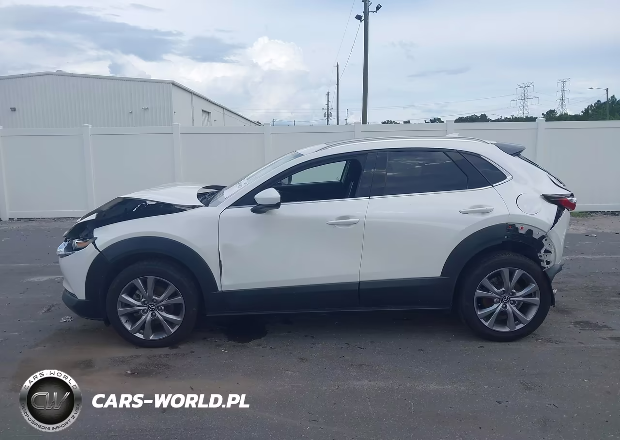 2020 Mazda Cx-30 Premium Package VIN:3MVDMBEM9LM129156 - 15