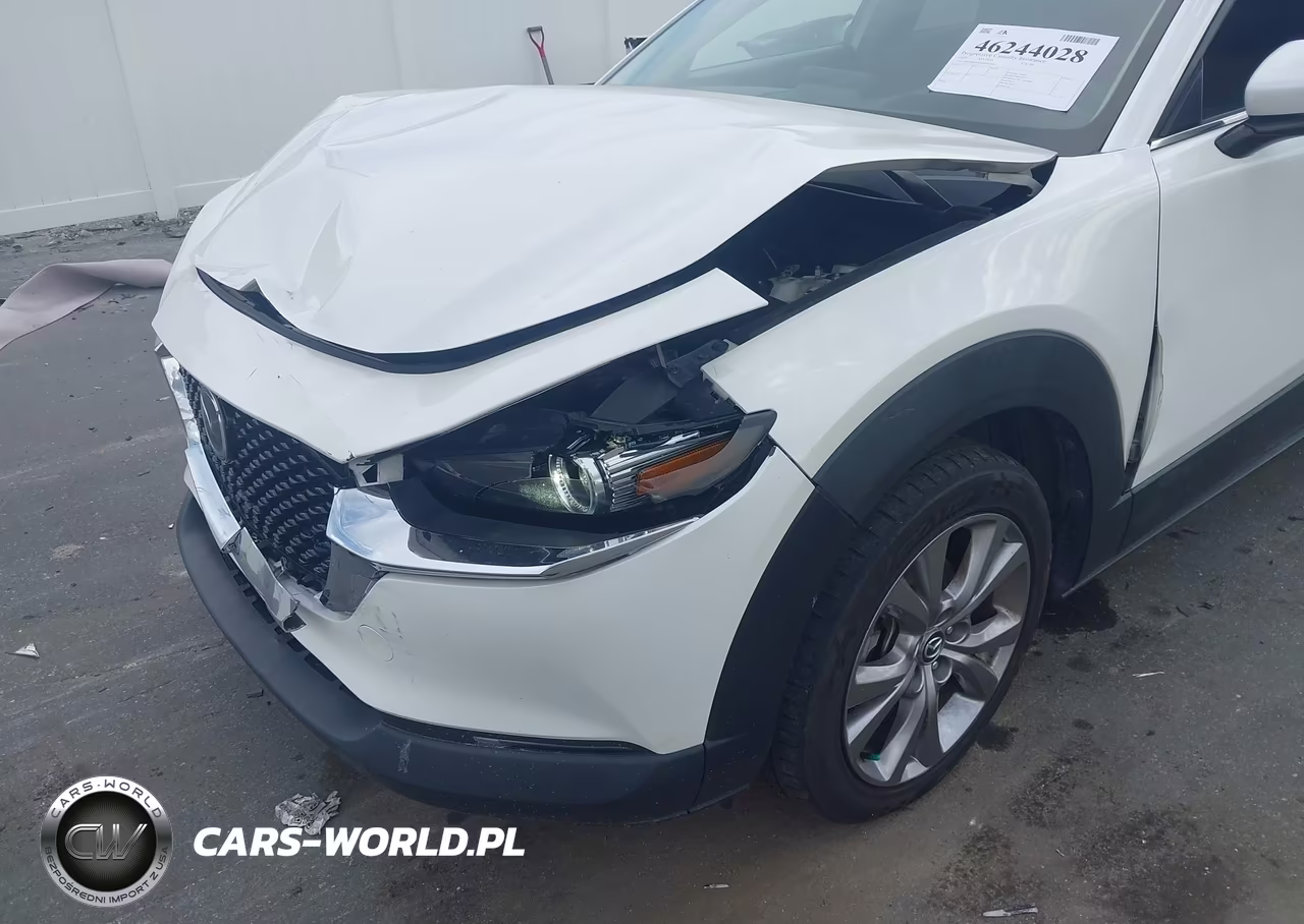 2020 Mazda Cx-30 Premium Package VIN:3MVDMBEM9LM129156 - 18