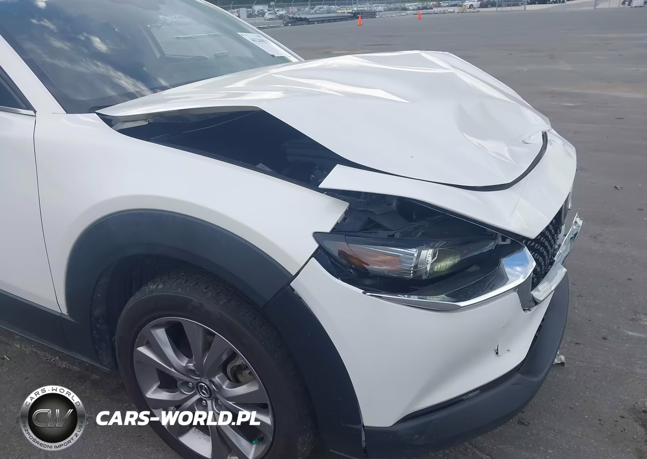 2020 Mazda Cx-30 Premium Package VIN:3MVDMBEM9LM129156 - 19