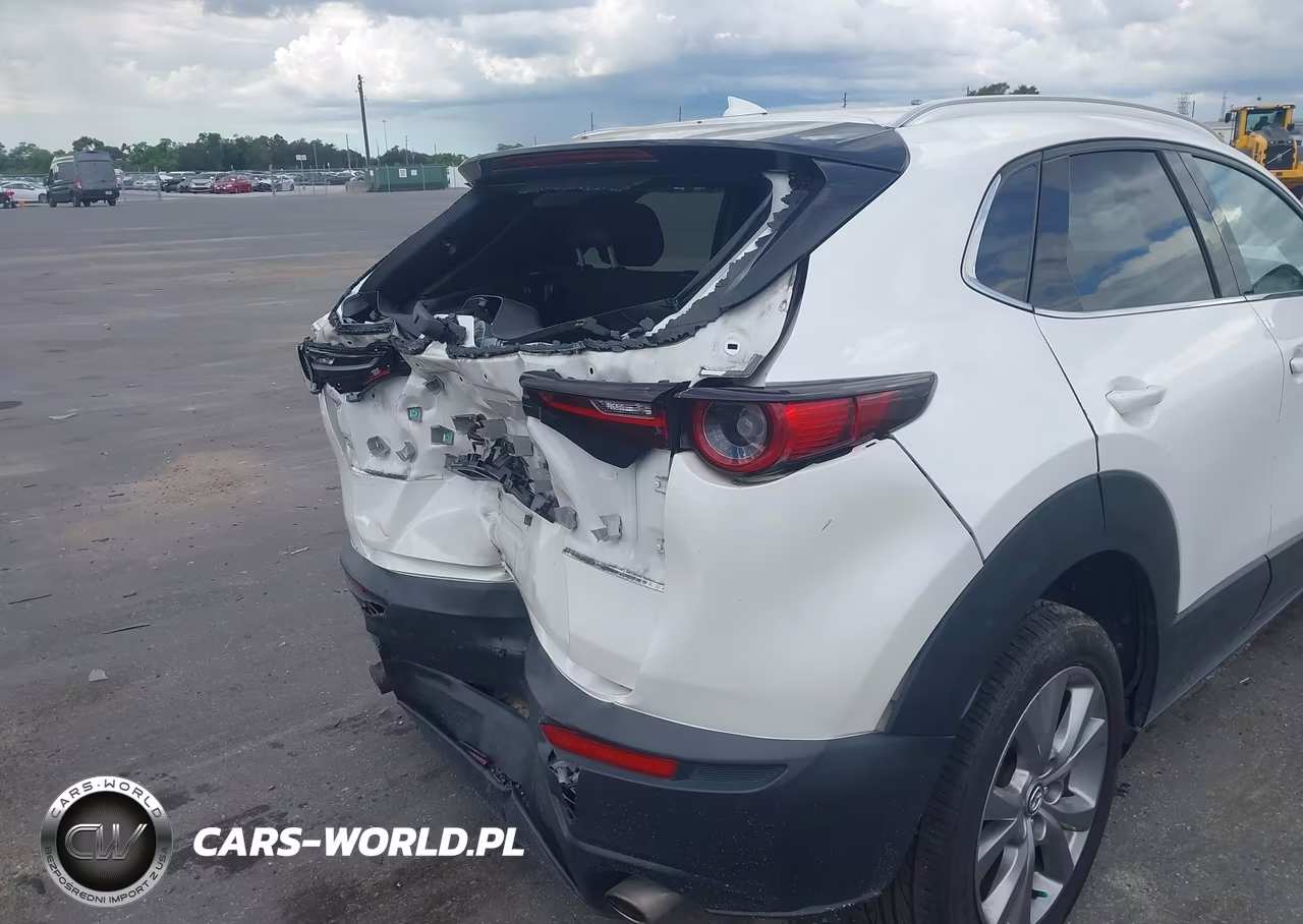 2020 Mazda Cx-30 Premium Package VIN:3MVDMBEM9LM129156 - 21