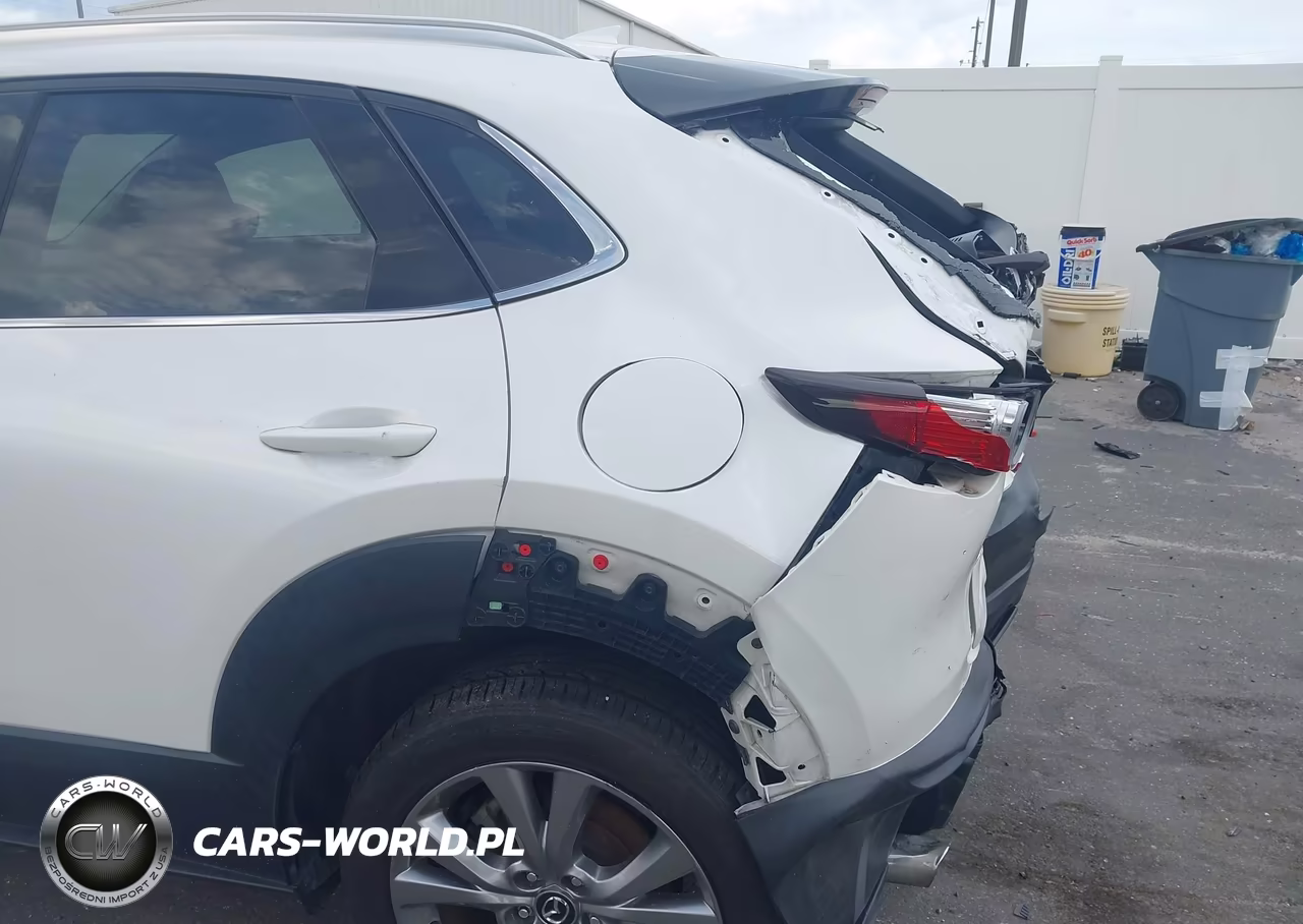 2020 Mazda Cx-30 Premium Package VIN:3MVDMBEM9LM129156 - 22