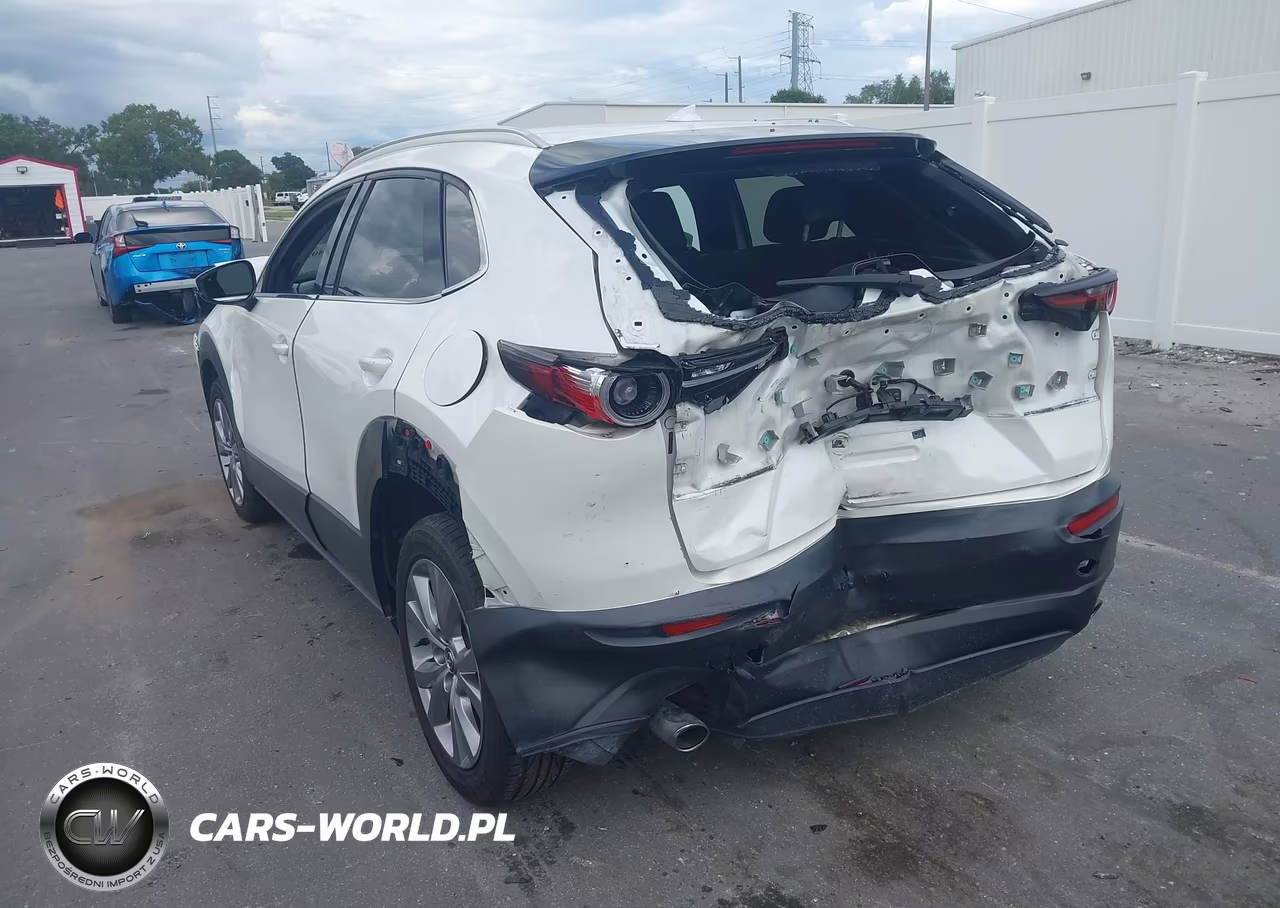 2020 Mazda Cx-30 Premium Package VIN:3MVDMBEM9LM129156 - 3
