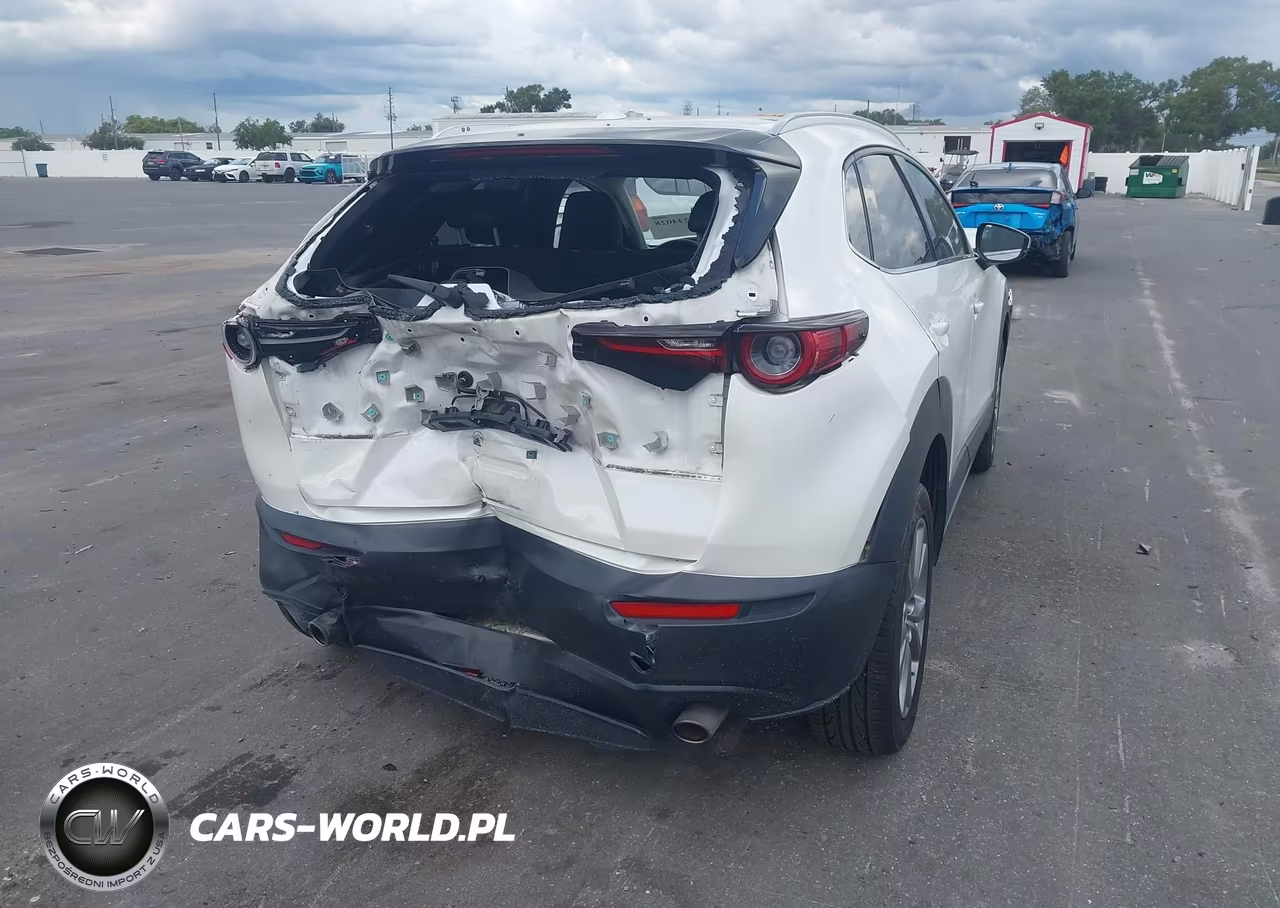 2020 Mazda Cx-30 Premium Package VIN:3MVDMBEM9LM129156 - 4
